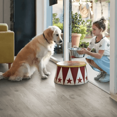 Pet caring | Henson's Greater Tennessee Flooring