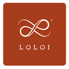 Loloi | Henson's Greater Tennessee Flooring