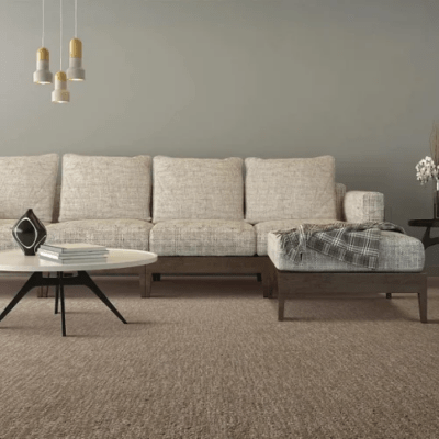 Living room carpet flooring | Henson's Greater Tennessee Flooring